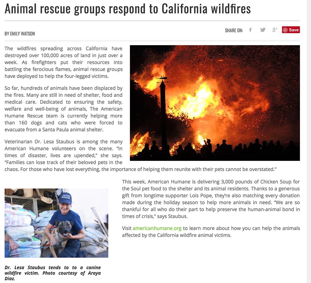 American Humane wildfire article image: 'Animal rescue groups respond to California wildfires;