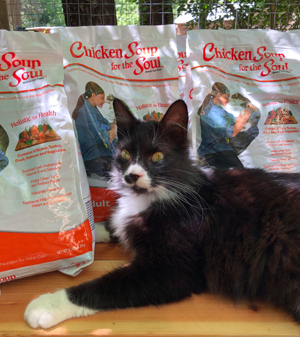 FABFAS cat food bags behind cat